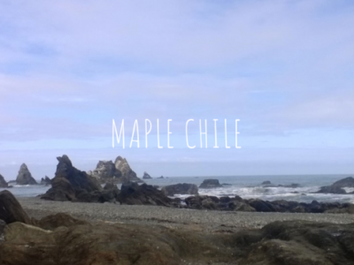 Maple Chile