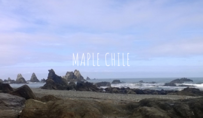 Maple Chile