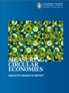 The cover shows a green circular design and Massey University's logo, with the title "Measuring Circular Economies: Industry Insights"