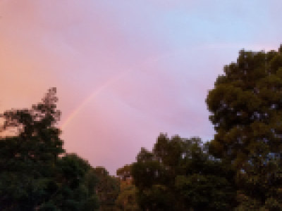 Deb's rainbow