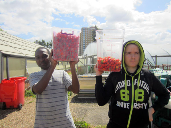 Two people holding up containers of fruit they have picked