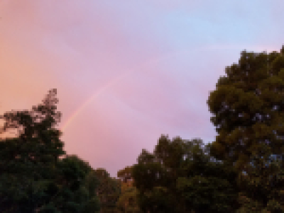 Deb's rainbow